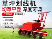 點(diǎn)擊查看詳細(xì)信息<br>標(biāo)題：草皮劃線(xiàn)機(jī) 閱讀次數(shù)：2537